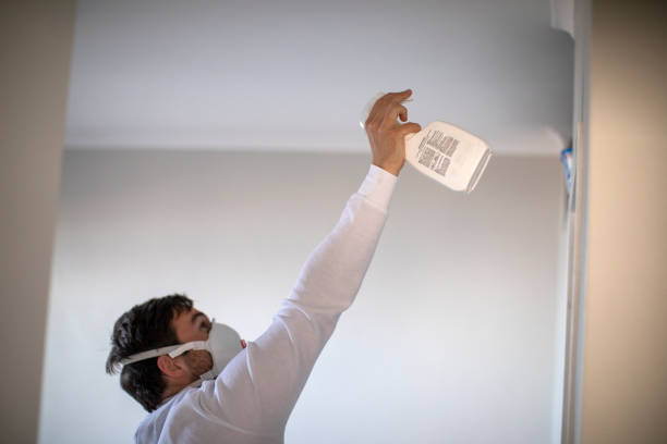 Best Mold Testing and Inspection Services in New Oxford, PA