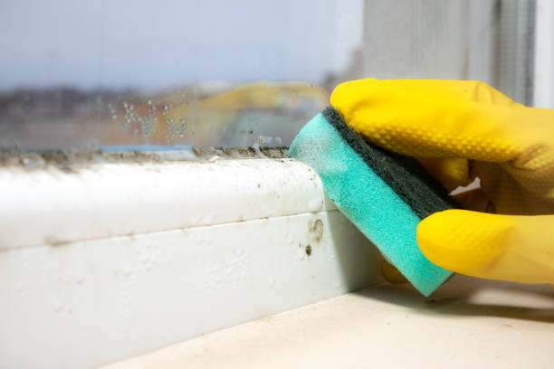 Best HVAC Mold Remediation in New Oxford, PA