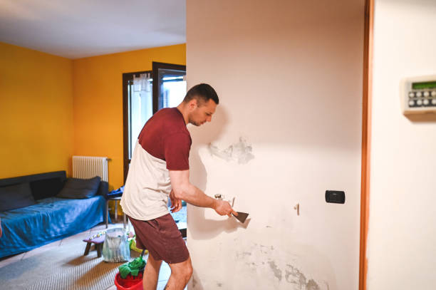 Best Post-Remediation Services in New Oxford, PA